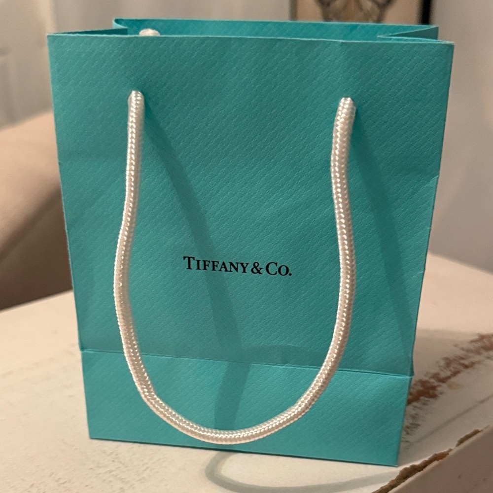 Tiffany & Co. Turquoise Shopping Bag only - Picture 3 of 6